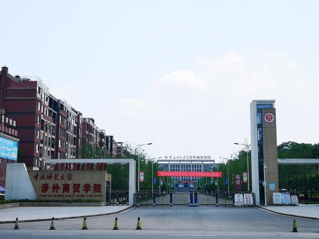 最新本科專業(yè)探秘，小巷中的隱藏寶藏之門